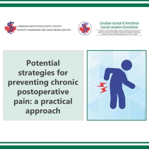 Potential strategies for preventing chronic postoperative pain: a practical approach