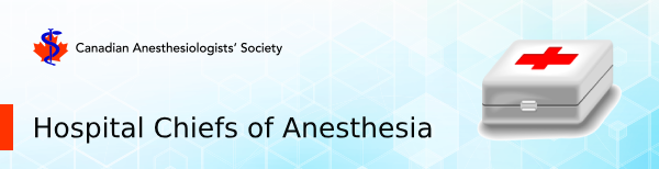 Hospital Chiefs of Anesthesia Section Banner